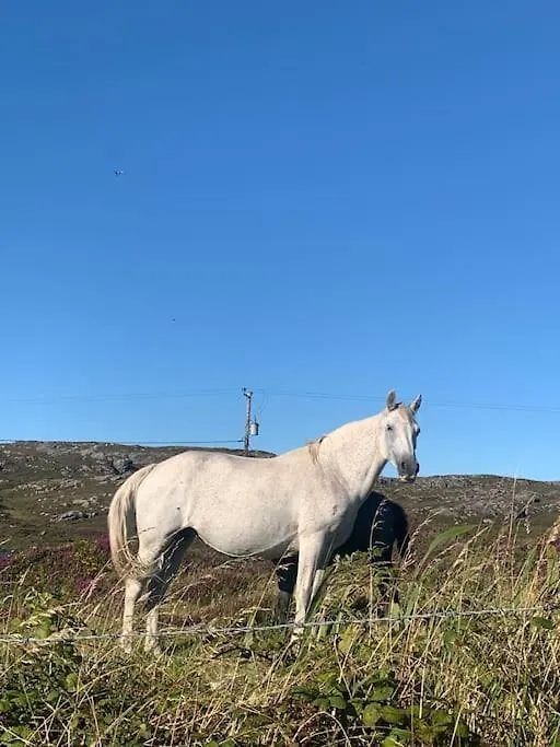 Mary'S Seaview Clifden Villa Galway Holiday home